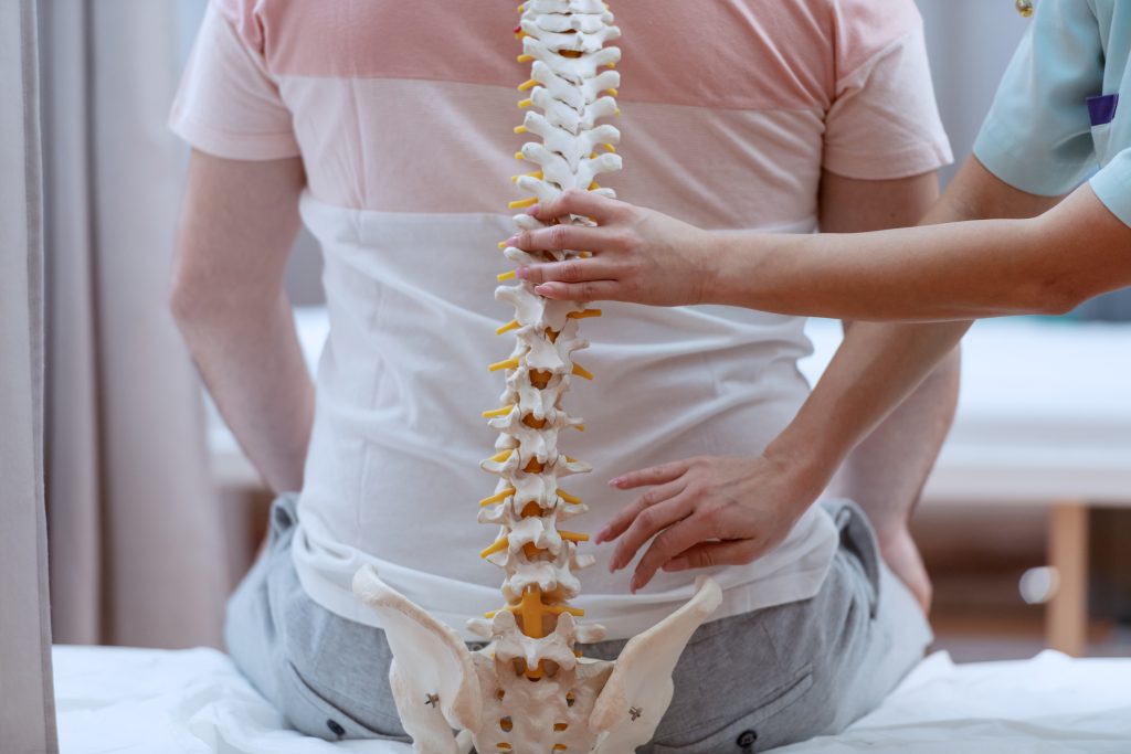A person sitting down with their back turned and holding the spine of a spinal column.